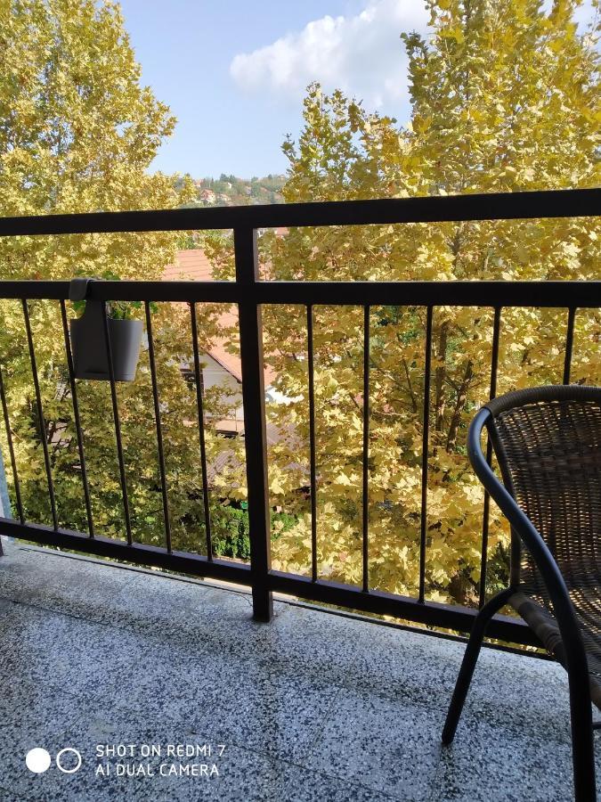 Apartman Ivan Vrdnik Εξωτερικό φωτογραφία