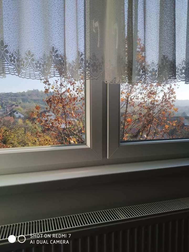 Apartman Ivan Vrdnik Εξωτερικό φωτογραφία
