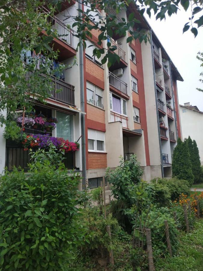 Apartman Ivan Vrdnik Εξωτερικό φωτογραφία
