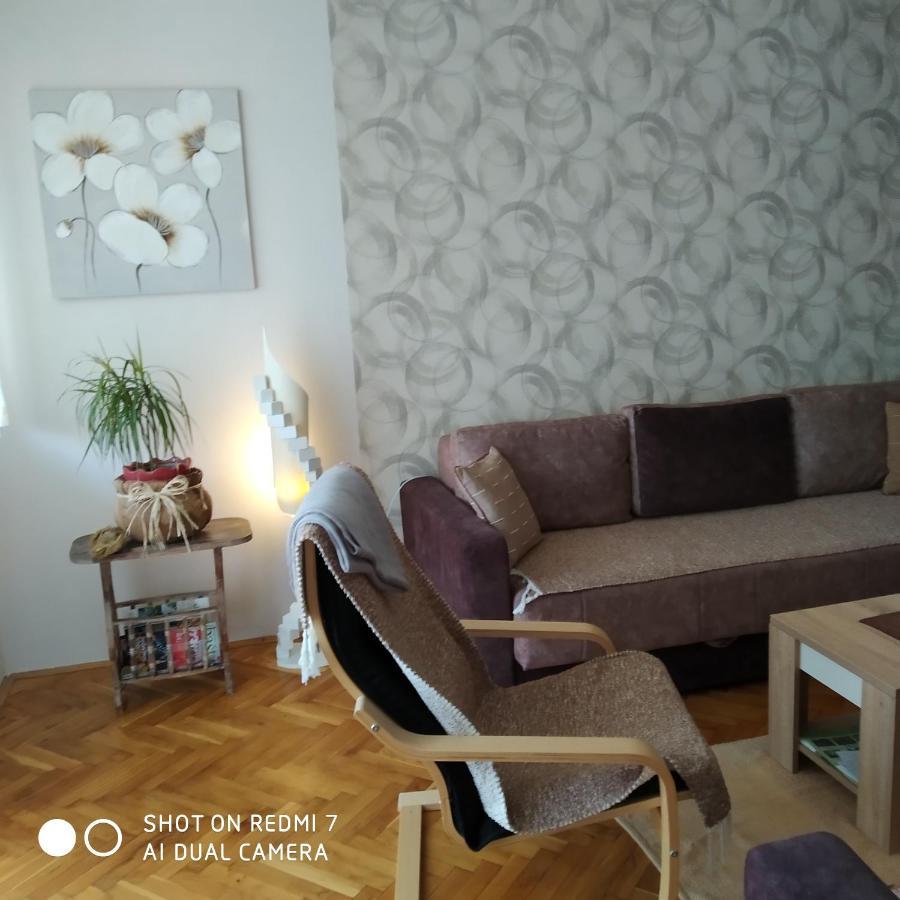 Apartman Ivan Vrdnik Εξωτερικό φωτογραφία