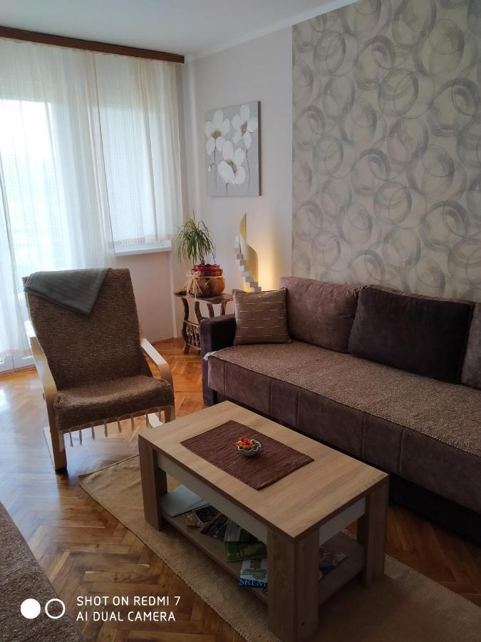 Apartman Ivan Vrdnik Εξωτερικό φωτογραφία